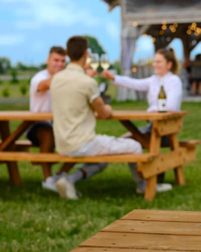vignoble_vineterra_1