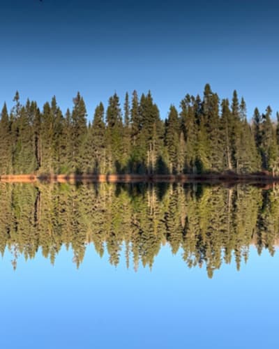 zec_kiskissink_1