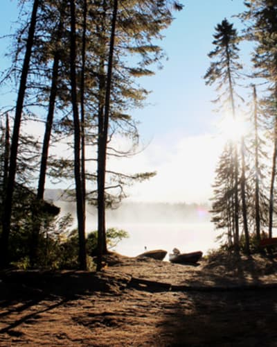 zec_lesueur_1