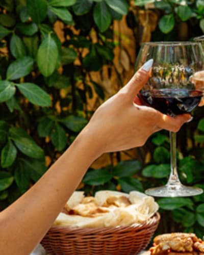 Forfait Route des vins