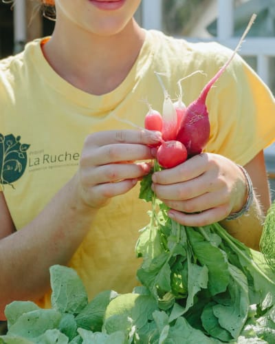 Projet La Ruche - An individual holding fresh radishes