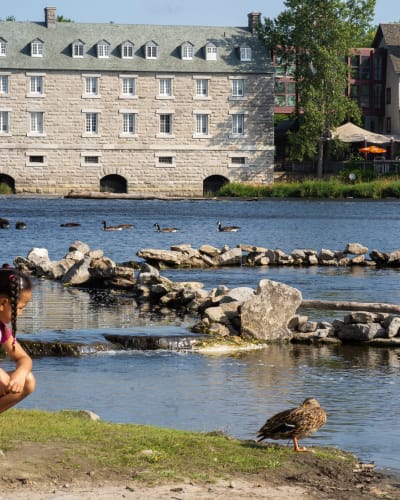 Fille qui regarde les canards à côté du moulin.