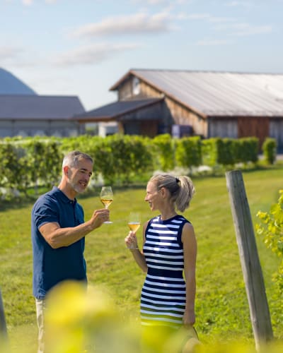 Dégustation de vin sur la route du richelieu