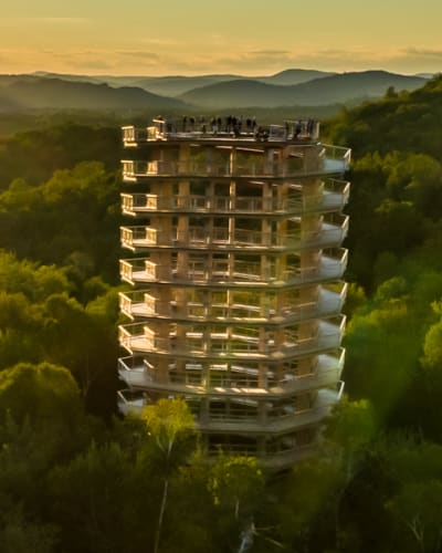 Walk above the trees!