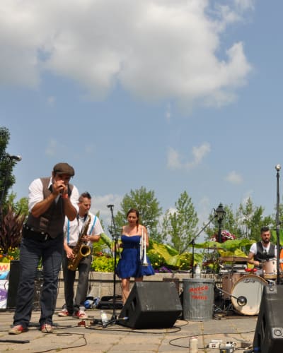 A summer SHOW - Musicians playing outdoors