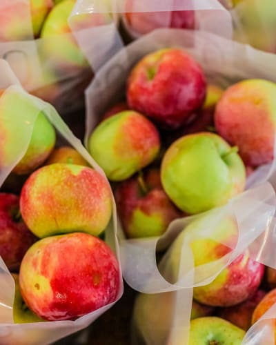 Verger Le Gros Pierre - Bags of apples