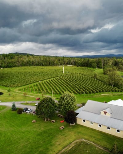 Vignoble Domaine Bresee