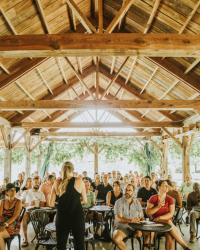 Domaine du Ridge : dégustation de vins