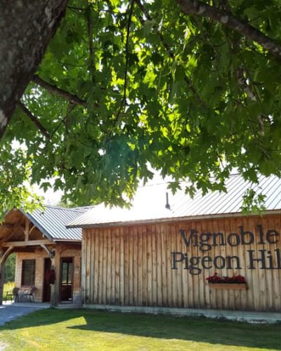 Vignoble Pigeon Hill