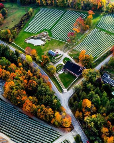 Vignoble Sugar Hill