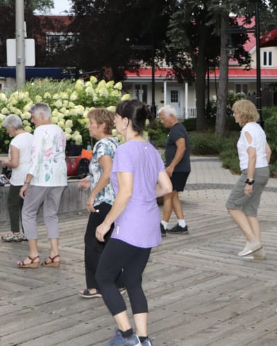 Soirée danse en ligne 