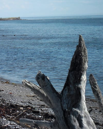 Anticosti Getaway