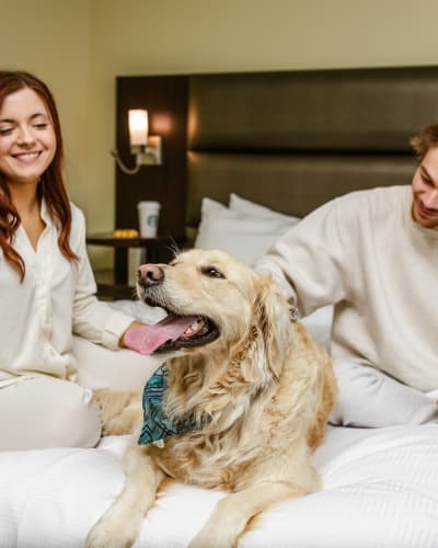 A couple with a dog at the Hotel Levesque.