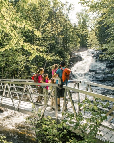 Family observing a waterfall