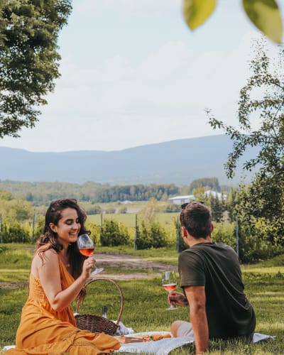 Agritourism in Brome-Missisquoi :picnic