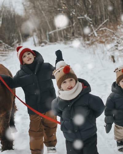 Alpagas du Domaine Poissant - Three children walking an alpaca in winter