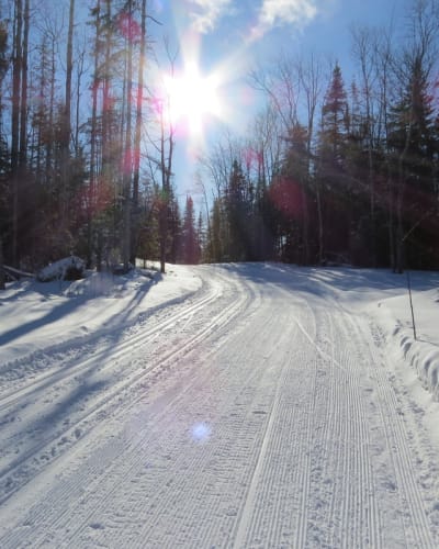 Trail in winter at Amiski Club de ski de fond & raquette.
