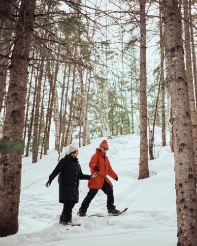 Two people are snowshoeing at the Arboretum de la Presqu’île Croft.