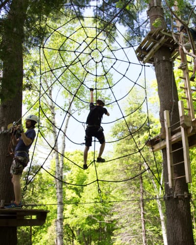 Spider web - Arbraska Chauveau. 