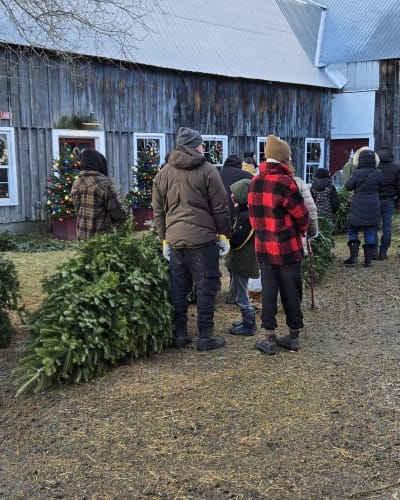 Christmas tree shop.