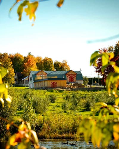 Bâtiment de l'Argouseraie Quénébro en automne.