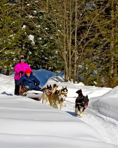Dog sledding at Au Chalet en Bois Rond.