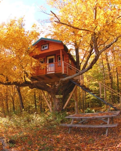 Treehouse at fall.