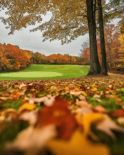 Forfait Golf Multi-Terrains