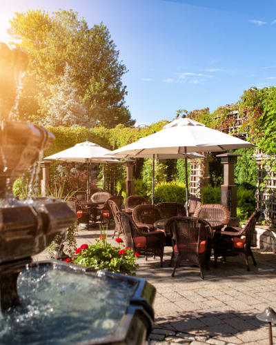 Singing evenings on the terrace