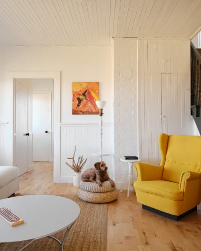 Blanche de l'Ouest - Living room with a dog