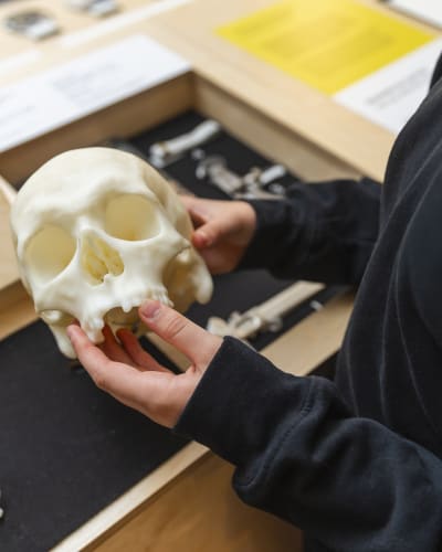 Exhibition Archaeology and Criminal Investigations