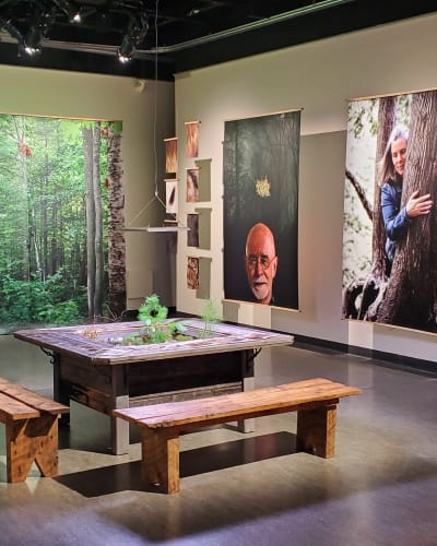 Exposition temporaire Fou d'forêt