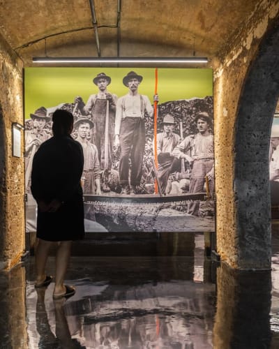 Sortie culturelle : vivez l’expérience Boréalis à Trois-Rivières