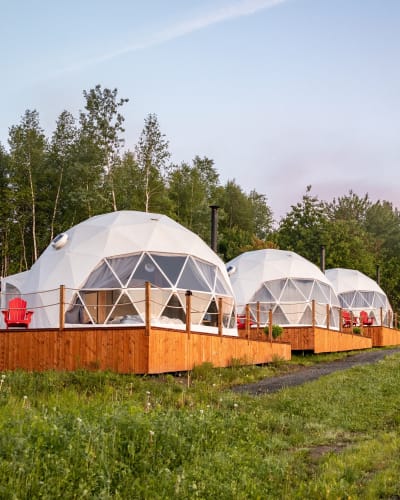Three domes in the vineyard in summer. 