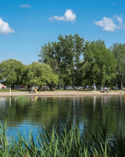 Camping du Lac Mineur - Body of water with beach