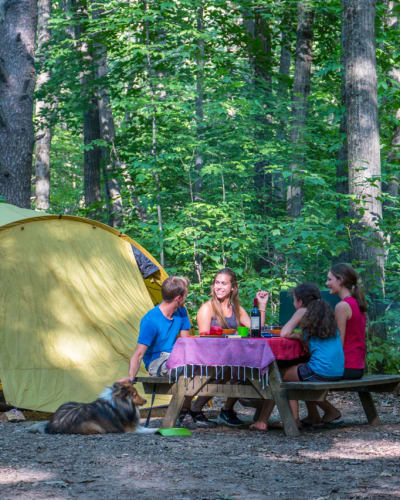 Famille assise à une table de pique-nique au Camping du parc national d'Oka.
