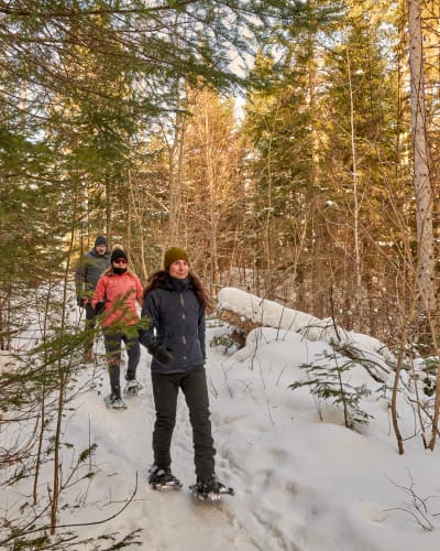 Three people snowshoeing in winter at La Mauricie National Park.