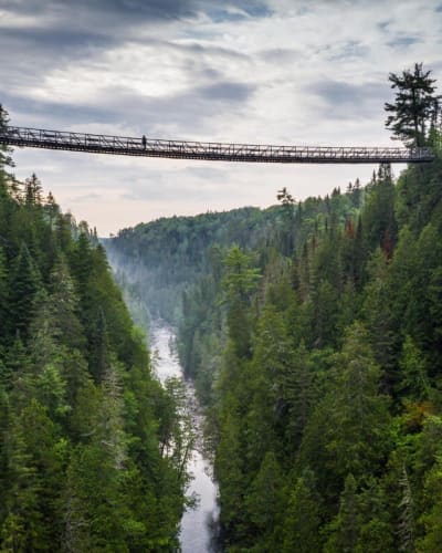 Suspended footbridge.