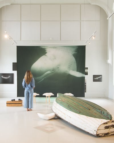 Details of the exhibition “Dans l'œil du béluga” (Through the Eyes of a Beluga) by Maryse Goudreau at the Centre d'art de Kamouraska.