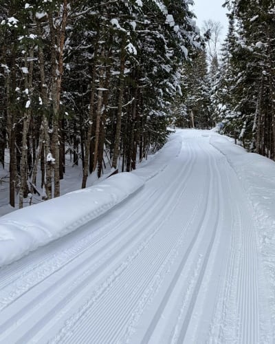 Cross-country ski trail at the Centre de ski de fond et raquette d’Estérel.