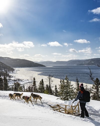 Dog sledding by the river.