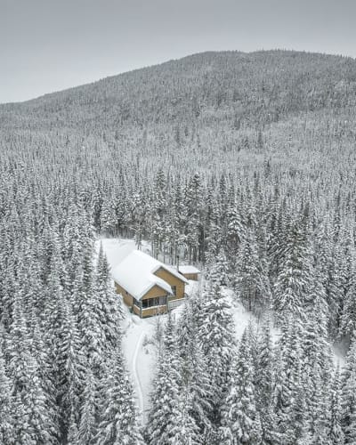 Chalet en forêt à la Réserve faunique des Laurentides, l'hiver.