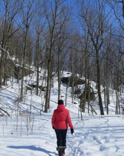 walker on a snowy trail.