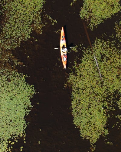 Circuit canotable des marais de la Fitzpatrick.