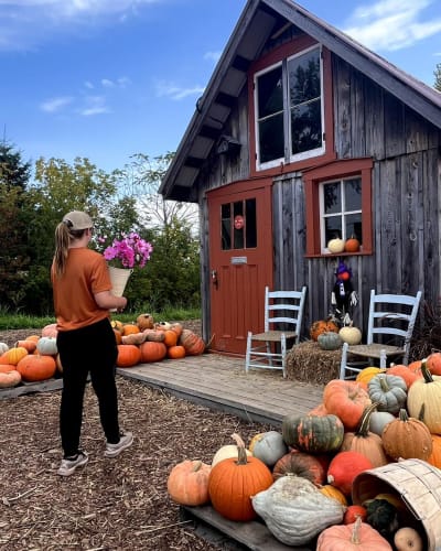 Display of squash and pumpkins, Pumpkins & Co.