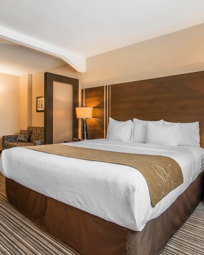 Comfort Suites Downtown - Room with a bed and sofa