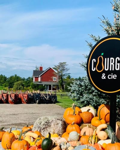 Courges & cie