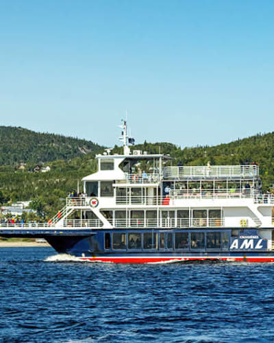 Whale-Watching Boat Tour in Tadoussac
