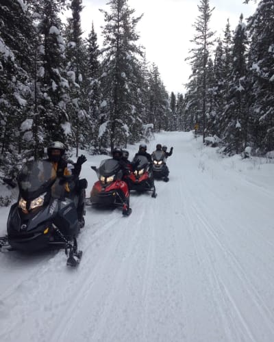 Motoneiges à Lac à Jim.
