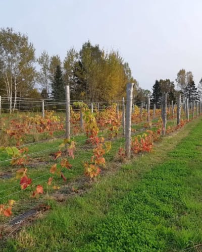 Domaine Côte du Nord Inc.